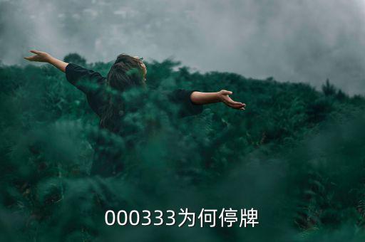 000333為什么停盤(pán)，000333為何停牌