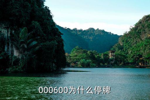 軟控股份為什么停牌，002399今天為什么停牌