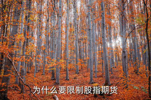 為什么不暫停股指期貨，為什么要限制股指期貨