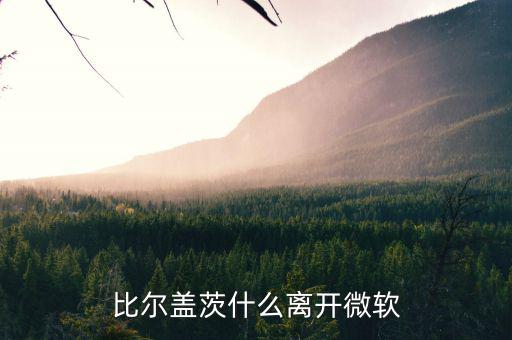比爾蓋茨為什么退出微軟，比爾蓋茨什么離開微軟