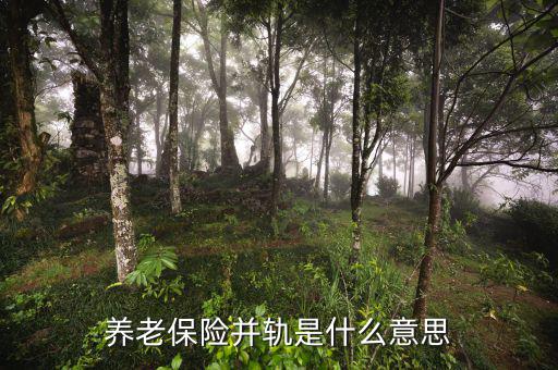 什么是城鄉(xiāng)養(yǎng)老保險并軌，養(yǎng)老保險并軌是什么意思