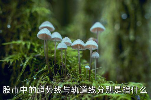 什么是股票軌道線(xiàn)，股票 軌道是什么
