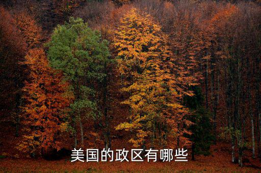 美國地方政府自治包括什么，美國的政府體制是什么