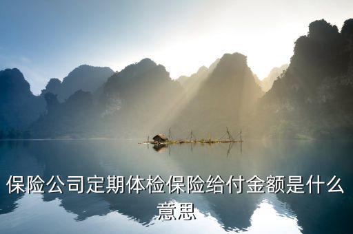 保險(xiǎn)中的給付金是什么意思，保險(xiǎn)金給付額 是什么意思
