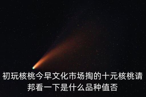 賭核桃是什么品種，請(qǐng)問(wèn)我這個(gè)手玩核桃是什么品種好嗎值多錢(qián)