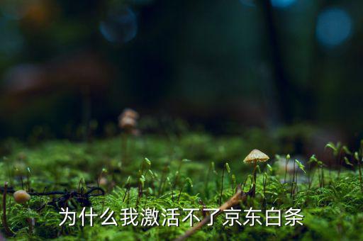 為什么京東的白條激活不了，京東商城的白條為什么激活不了