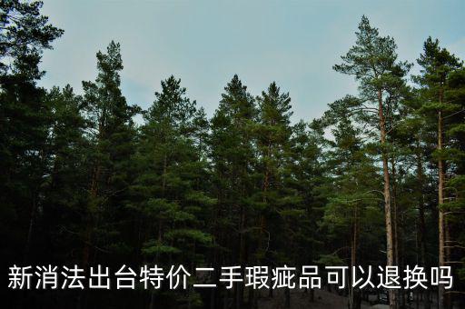 不宜無(wú)理由退貨的4大類(lèi)商品是什么，新消法出臺(tái)特價(jià)二手瑕疵品可以退換嗎
