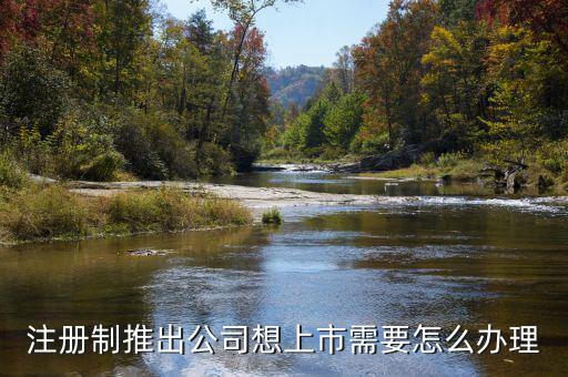 注冊(cè)制上市要什么條件，注冊(cè)制推出公司想上市需要怎么辦理