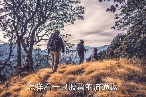 流通股數(shù)怎么看,中國a股市場(chǎng)的三大股指