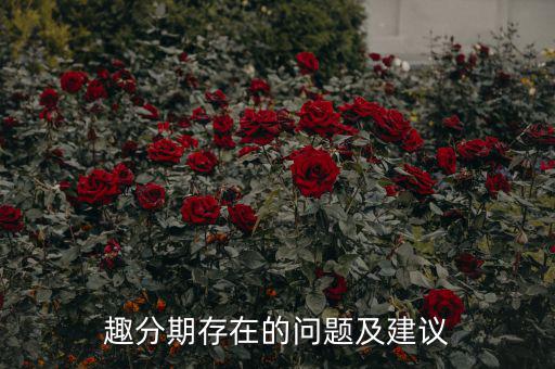 趣分期發(fā)展怎么樣了,大學(xué)生分期需求成為網(wǎng)購分期平臺(tái)新機(jī)遇