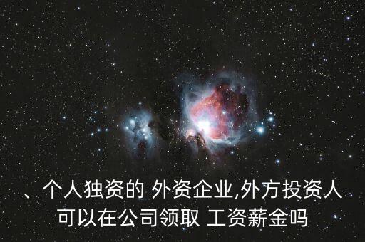 、個人獨資的 外資企業(yè),外方投資人可以在公司領取 工資薪金嗎