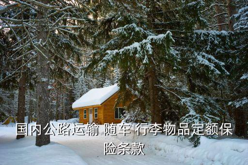 隨車(chē)行李險(xiǎn)怎么定損,隨車(chē)行李保險(xiǎn)不屬于車(chē)險(xiǎn)范疇屬附加險(xiǎn)