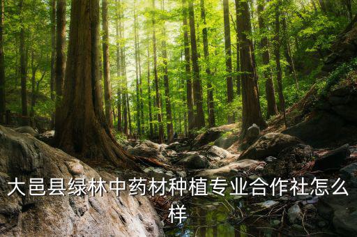 大邑縣綠林中藥材種植專(zhuān)業(yè)合作社怎么樣