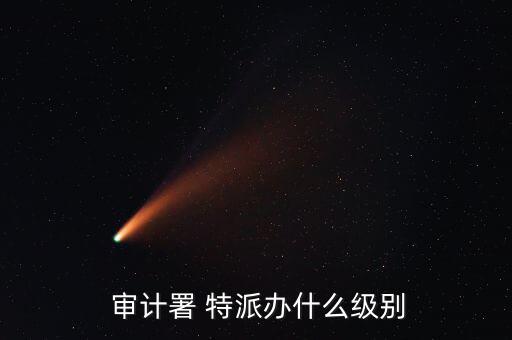  審計(jì)署 特派辦什么級別