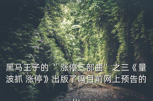 黑馬王子的“ 漲停三部曲”之三《量波抓 漲?！烦霭媪藛崮壳熬W(wǎng)上預(yù)告的...