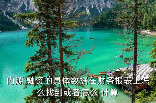 內(nèi)源 融資的具體數(shù)據(jù)在財務報表上怎么找到或者怎么 計算