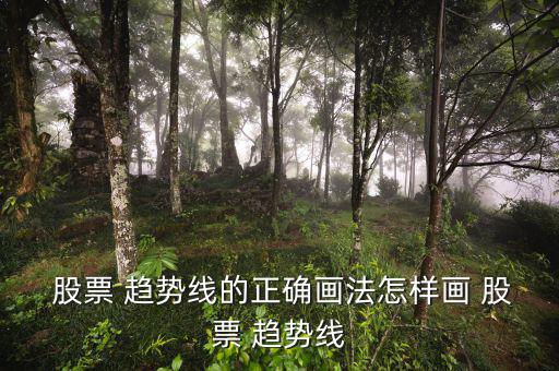  股票 趨勢(shì)線的正確畫(huà)法怎樣畫(huà) 股票 趨勢(shì)線