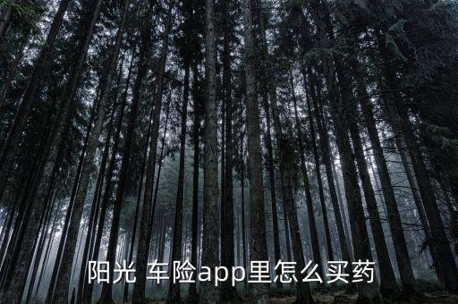  陽(yáng)光 車(chē)險(xiǎn)app里怎么買(mǎi)藥