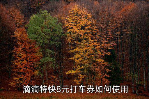 滴滴的巴士券怎么用,滴滴快遞8元打車(chē)票不打車(chē)是可以用的