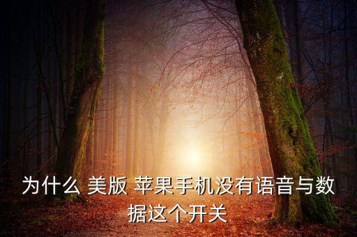 為什么 美版 蘋果手機沒有語音與數(shù)據(jù)這個開關(guān)