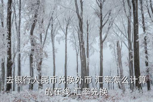去銀行人民幣兌換外幣 匯率怎么計(jì)算的在線(xiàn) 匯率兌換