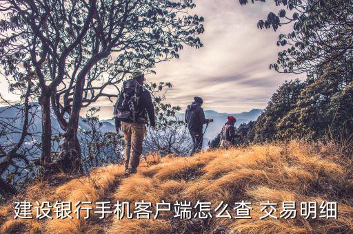 建設(shè)銀行手機客戶端怎么查 交易明細(xì)
