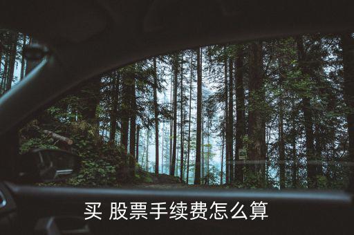 買(mǎi) 股票手續(xù)費(fèi)怎么算