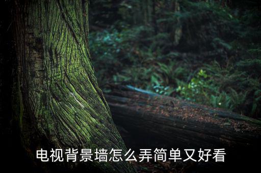 電現(xiàn)募墻怎么做好,電視墻設計好看又省錢
