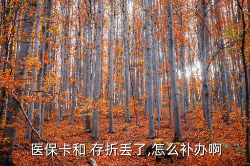  醫(yī)?？ê?存折丟了,怎么補辦啊