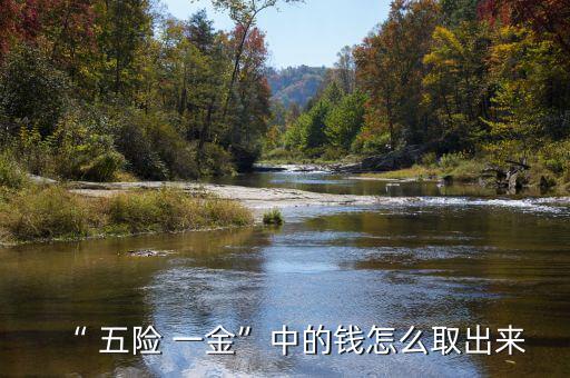 “ 五險(xiǎn) 一金”中的錢怎么取出來(lái)