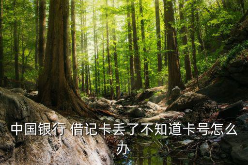 中國銀行 借記卡丟了不知道卡號(hào)怎么辦