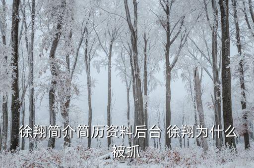 徐翔是怎么回事,徐翔、王偉、犯受賄罪被判入獄五年半