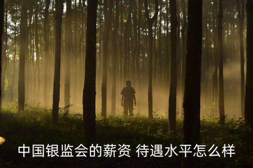 中國銀監(jiān)會(huì)的薪資 待遇水平怎么樣