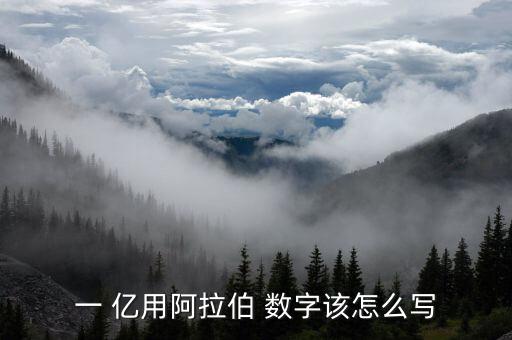 11億用數字怎么寫,大寫數字規(guī)則:用正楷或行書填寫0多位數