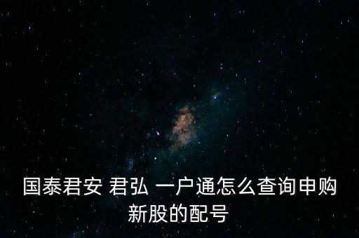 國(guó)泰君安 君弘 一戶通怎么查詢申購新股的配號(hào)