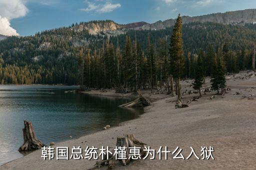 樸槿惠訪美怎么沒(méi)有報(bào)道,法院將13條彈劾理由整理為5條