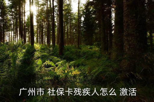  廣州市 社?？埣踩嗽趺?激活