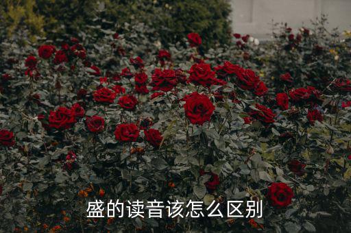 嘉盛中心的盛怎么讀,盛會(huì)、豐盛、茂盛、盛大等五個(gè)漢字