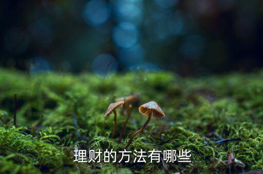 低風(fēng)險投資理財(cái)怎么做,理財(cái)知多少?問與答（13）