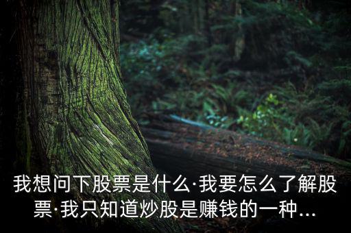 進(jìn)行個(gè)股簡(jiǎn)單說(shuō)明怎么寫,投資股票要學(xué)會(huì)釣魚，學(xué)會(huì)吃魚!