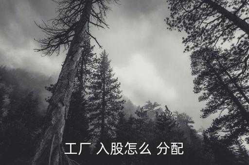 工廠(chǎng) 入股怎么 分配