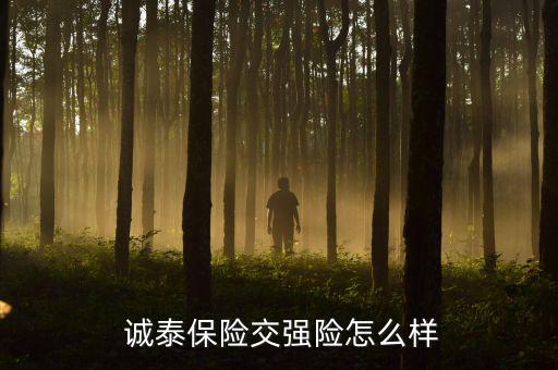 誠泰保險車險怎么樣,誠泰車險100公里免費(fèi)領(lǐng)取保險金