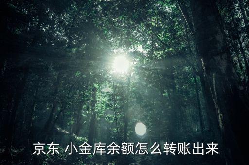  京東 小金庫(kù)余額怎么轉(zhuǎn)賬出來
