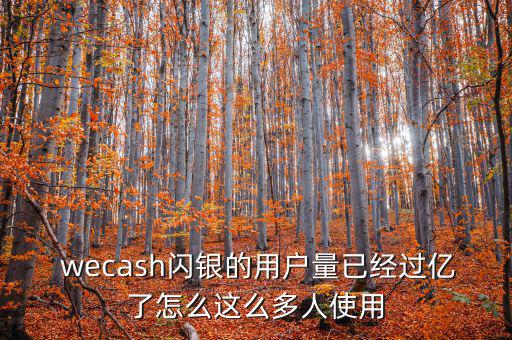  wecash閃銀的用戶(hù)量已經(jīng)過(guò)億了怎么這么多人使用