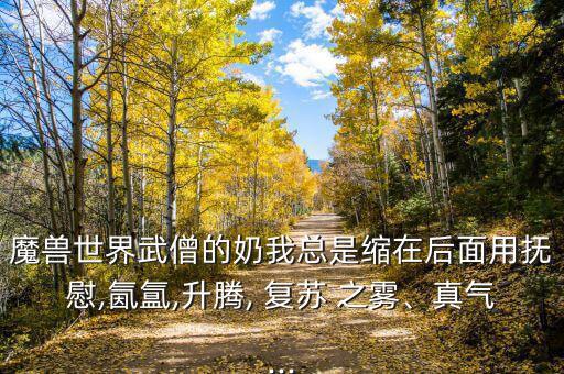 魔獸世界武僧的奶我總是縮在后面用撫慰,氤氳,升騰, 復蘇 之霧、真氣...