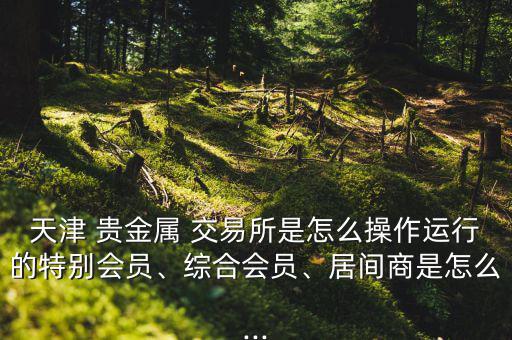 天津 貴金屬 交易所是怎么操作運(yùn)行的特別會(huì)員、綜合會(huì)員、居間商是怎么...
