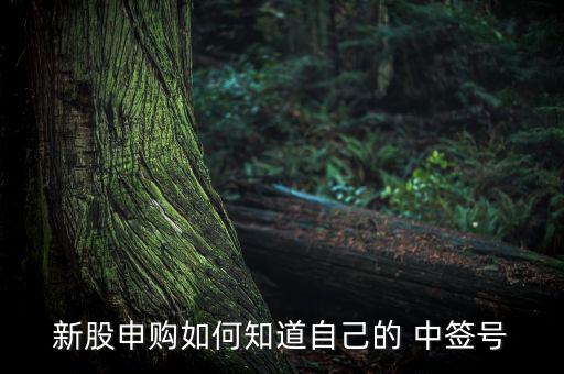 新股申購如何知道自己的 中簽號(hào)