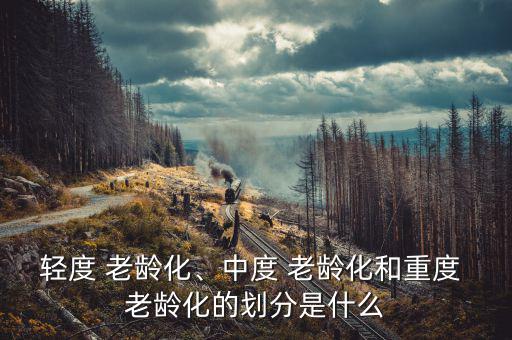 輕度 老齡化、中度 老齡化和重度 老齡化的劃分是什么