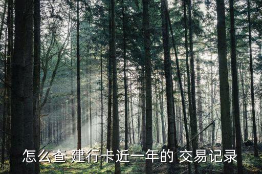 建行怎么查未完成的交易,怎么用建行網銀查交易記錄?