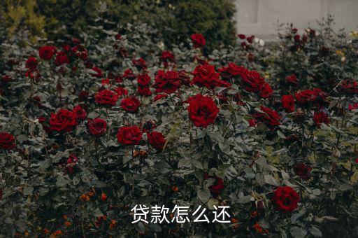 貸款怎么還合適,中國銀行推出等額本息、月均本金等還款方式